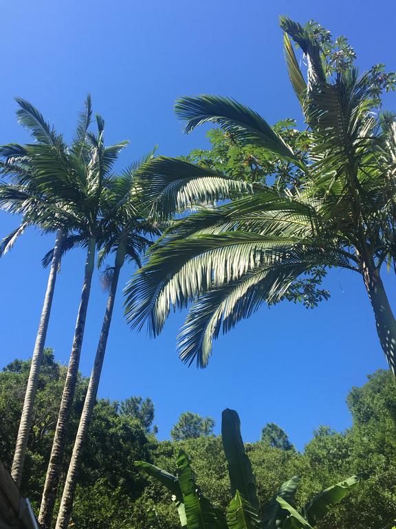 ホテル Pousada Jardim Da Lagoa フロリアノポリス エクステリア 写真